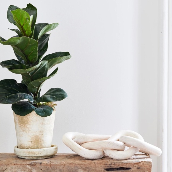 Bloomist NWT Pale Wood Chain, Small Link - Picture 6 of 6